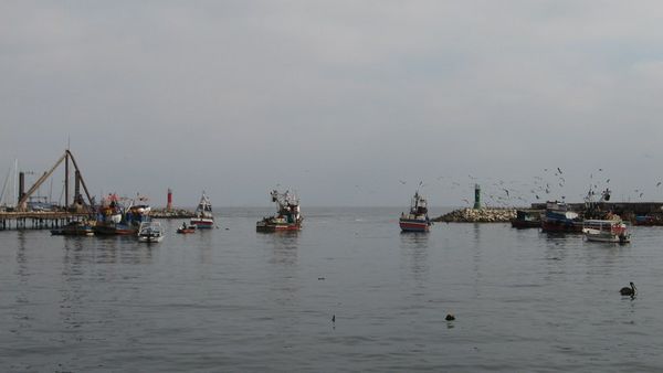 The fishing port of Antofagasta