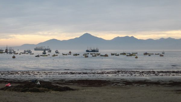 Fishing boats in Coquimbo