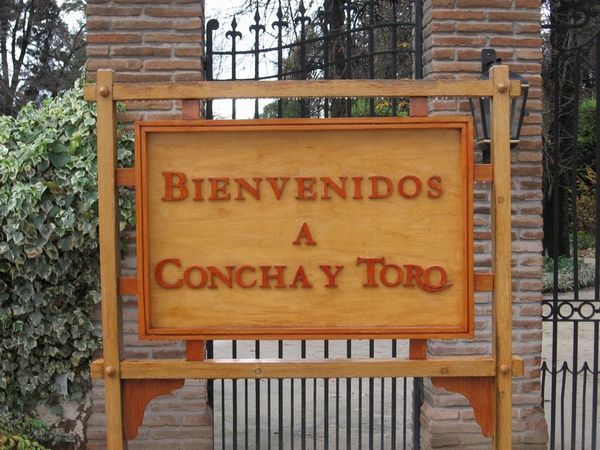 Concha y Toro winery