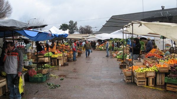 Markets of Chillán
