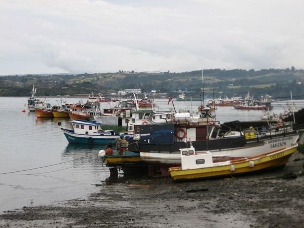 An island of fisherman and their colorful boats