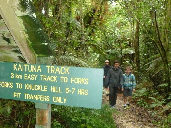 Kaituna Track Walk