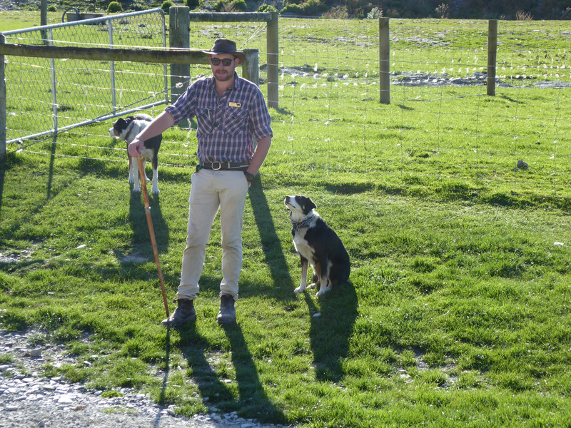 Walter Peak Farm Cam and Dogs - Lake Wakatipu