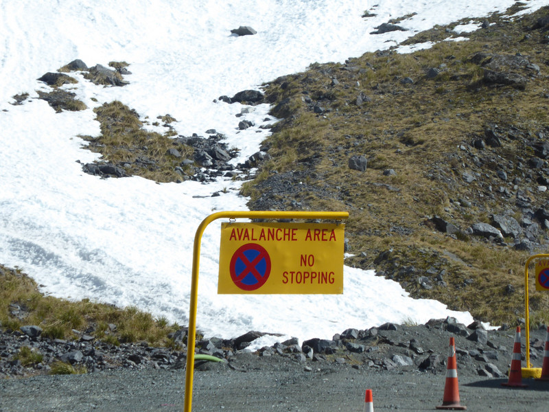 Fjordland - Avalanche Sign