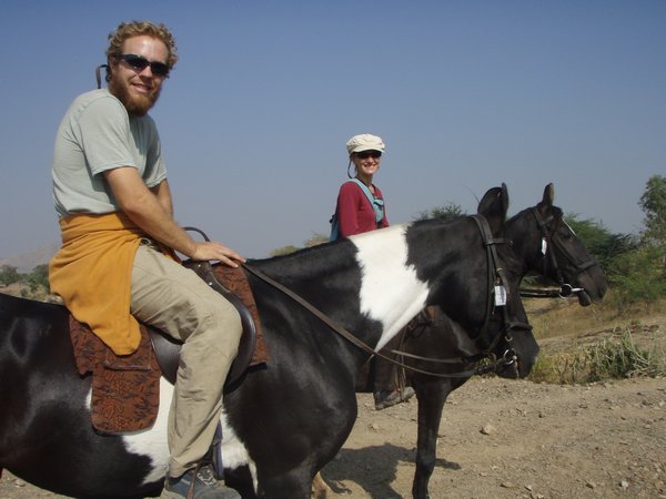 Marwari Horses