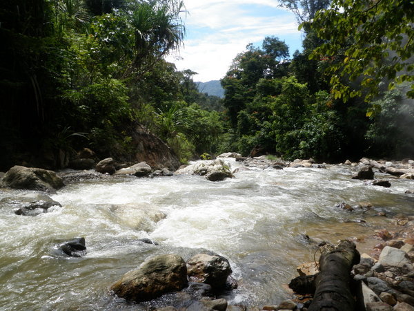 Jungle River with Hot Springs