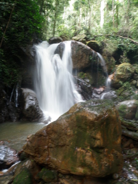 Waterfall Deep in the Jungle