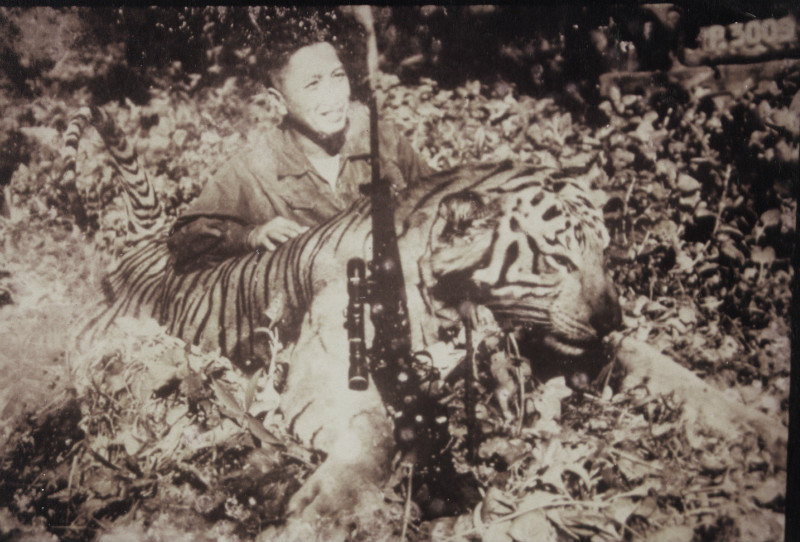 Javan tiger 1957 East Java