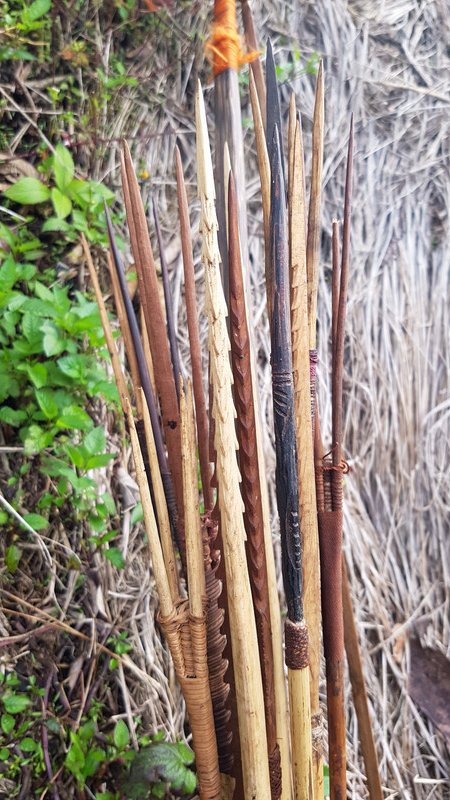 Bamboo and wooden arrows!