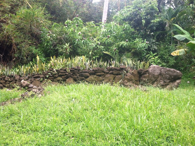 iguana rock sculpute
