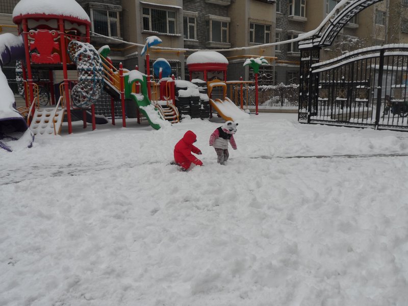 Who Needs the Playground when You Have Snow?