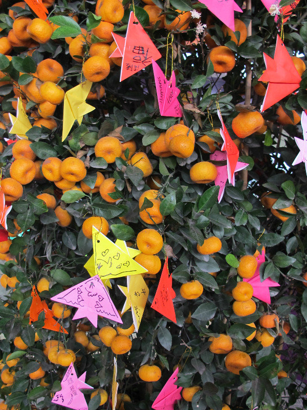 Oranges and origami
