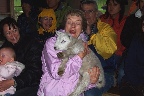Sue holds the lamb