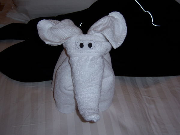our towel elephant