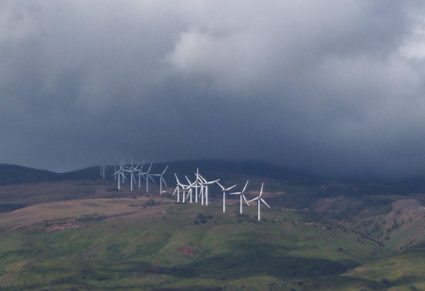 The Maui Wind farm