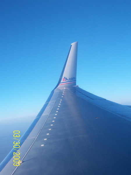our wing tip