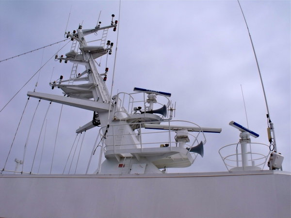 Ship's main mast