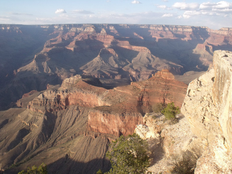 Grand Canyon View  #1