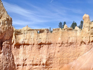 Wall in Bryce Canyon