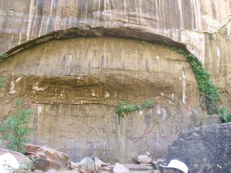 Zion canyon wall