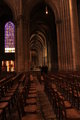 Chartres Hidden Wings