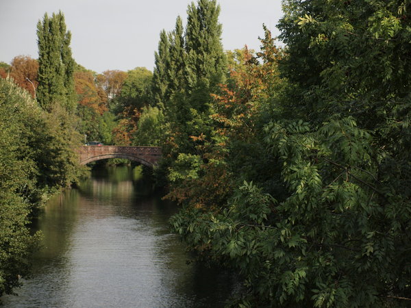Small branch off the main canal