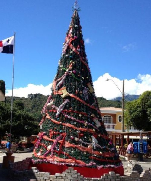 Christmas Tree in Boquete