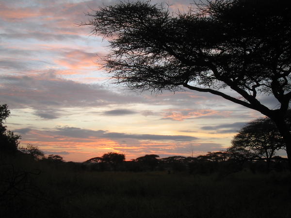 Sunrise in the Serengetti, Tanzania!