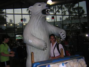Affectionate Polar Bear