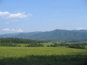 The vast fields in Cades Cove