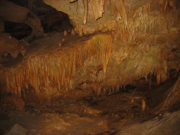A whole bunch of stalactites