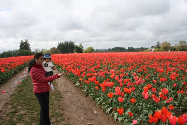 Amma showing V some tulips