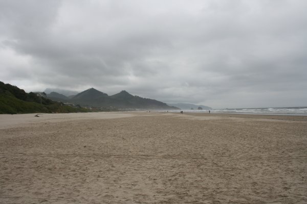The deserted shore