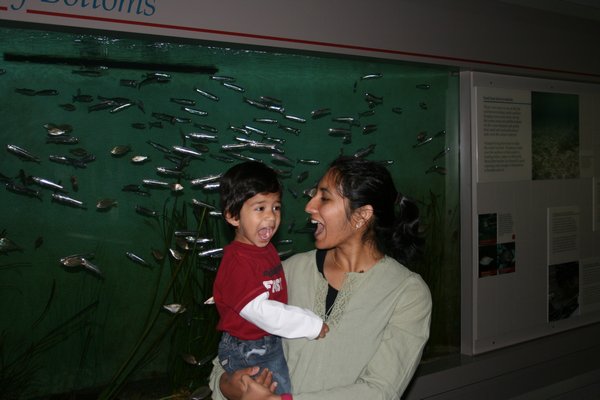 Showing Amma how fish say aahhh