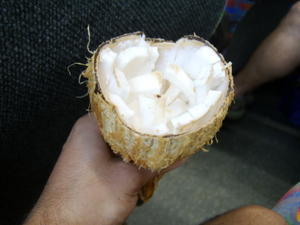 Coconut..Polynesian Style