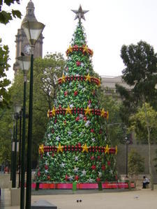 Christmas Tree?