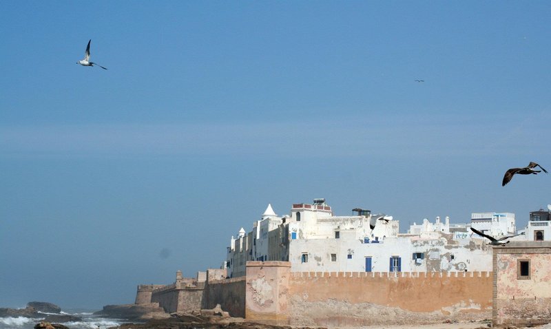 Essaouira viewed from harbor