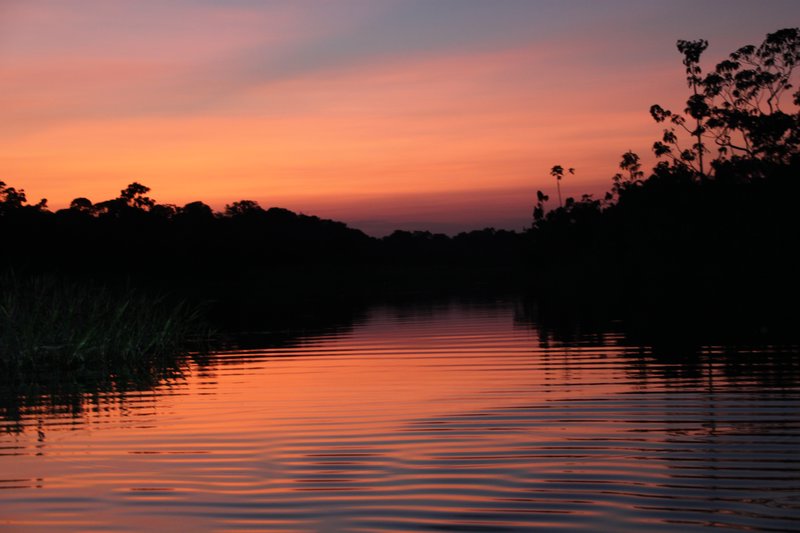 Amazon Sunset 