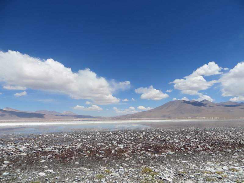 Bolivian Altiplano