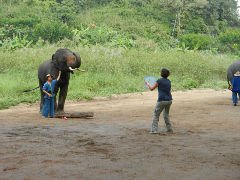 Lea plays catch with an elephant