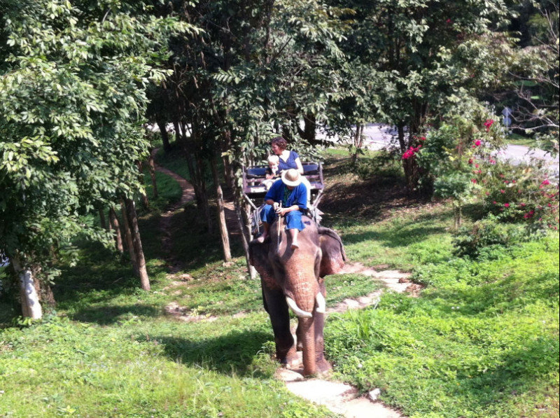 Lea&Sam on their elephant ride