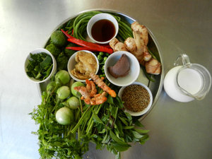 my green curry ingredients