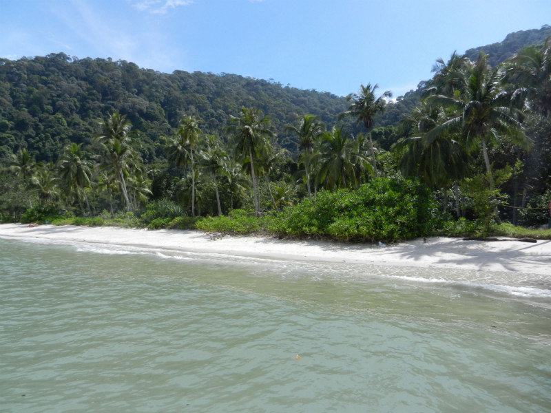 Penang National Park