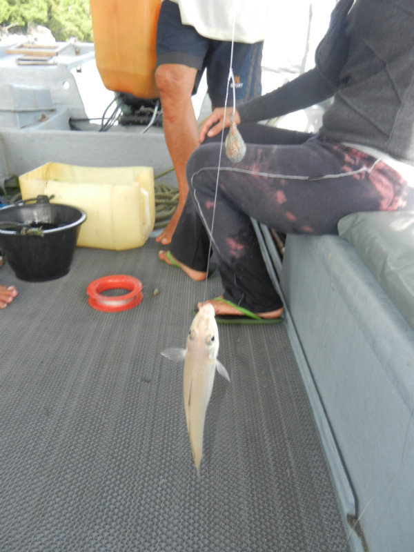 my very first fish…ever.