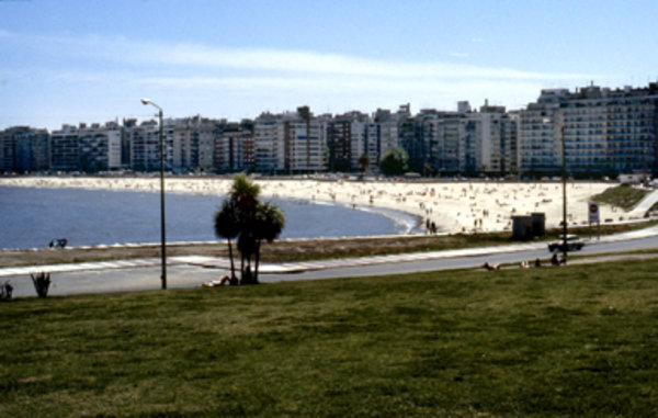 Pocitos Beach