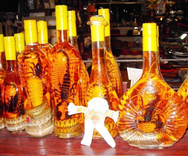 Flat Stanley and Snake Wine