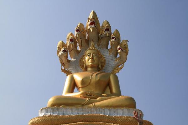 grote boeddha