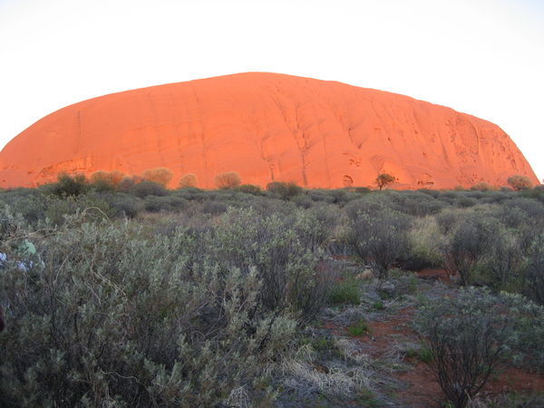 Uluru at sunrise