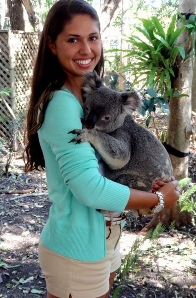 Holding Koala