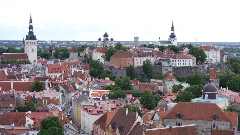 View from top of tower looking over old towne Tallinn